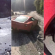 Image for article titled Those Idiots Who Totaled Their Supercars In China Are Actually Heroes
